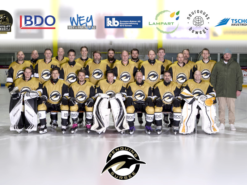 Teddy Bear Toss 2025, Rückblick