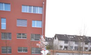 Bild 3 von 8 - Bäumlifäscht Patricia und Rafi (von R. Stöckli)