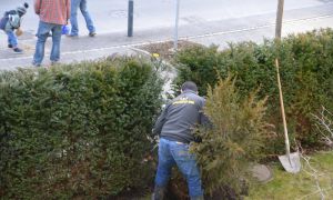 Bild 4 von 8 - Bäumlifäscht Patricia und Rafi (von R. Stöckli)