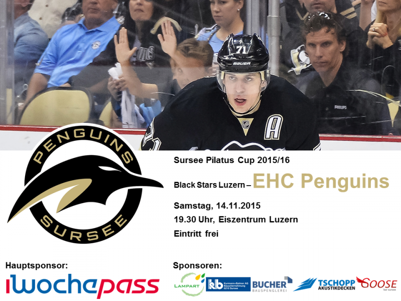 Black Stars Luzern - EHC Penguins; 14.11.2015 19.30 Uhr Luzern