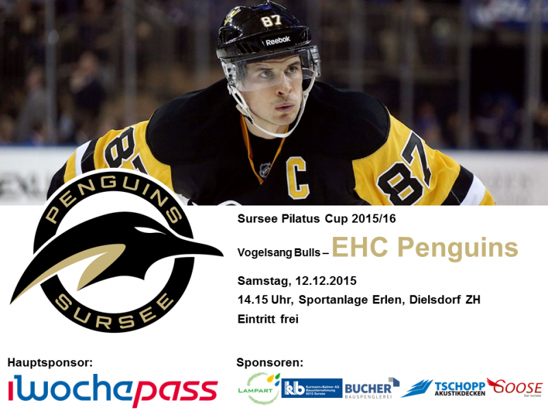 Vogelsang Bulls - EHC Penguins; 12.12.2015 14.15 Uhr Dielsdorf ZH