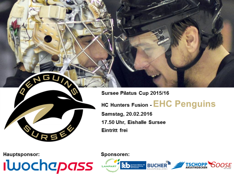 HC Hunters Fusion - EHC Penguins; 20.02.2016 17.50 Uhr, Eishalle Sursee