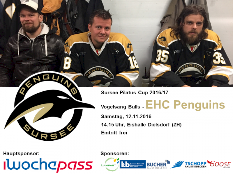 Vogelsang Bulls - EHC Penguins; 12.11.2016 14.15 Uhr, Eishalle Dielsdorf (ZH)