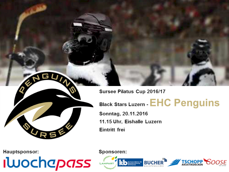 Black Stars Luzern - EHC Penguins; 20.11.2016 11.15 Uhr, Eishalle Luzern