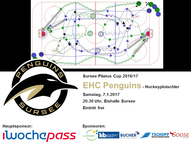 EHC Penguins - Hockeyploischler; 7.1.2017 20.30 Uhr, Eishalle Sursee