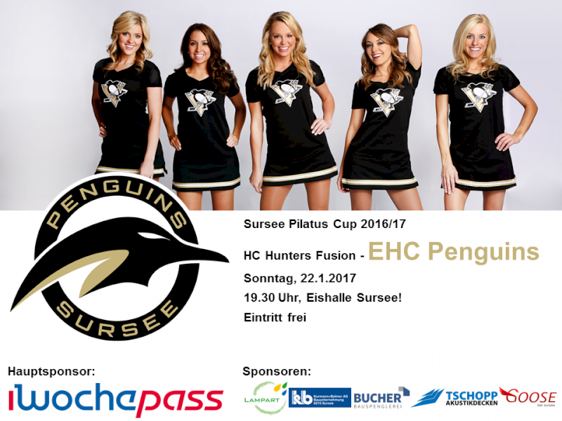 Hunters Fusion - EHC Penguins; 22.1.2017 19.30 Uhr, Eishalle Sursee