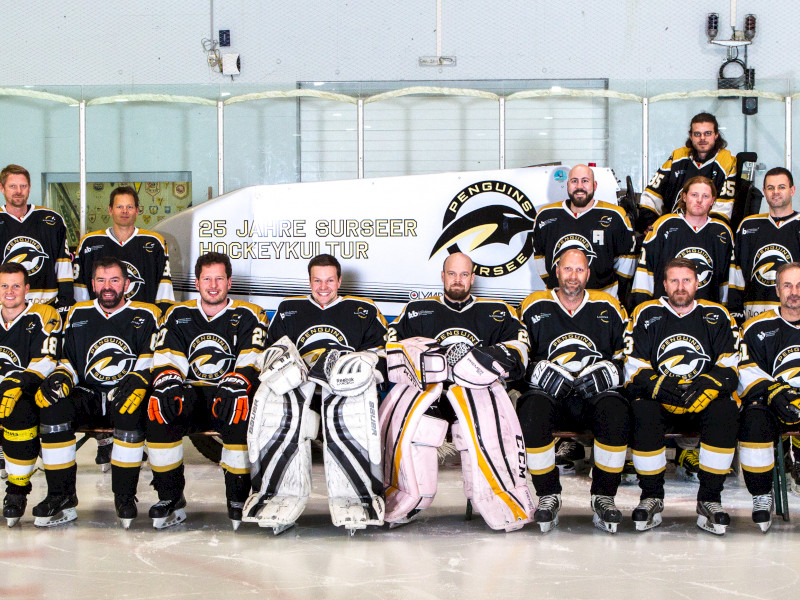 Saisonende 16/17, Danke & schönen Sommer!