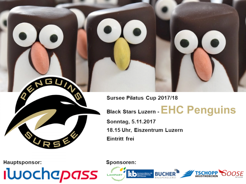 Black Stars Luzern - EHC Penguins; 05.11.2017 18.15 Uhr, Eiszentrum Luzern