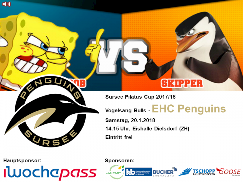 Vogelsang Bulls - EHC Penguins; 20.01.2018 14.15 Uhr, Eishalle Dielsdorf (ZH)