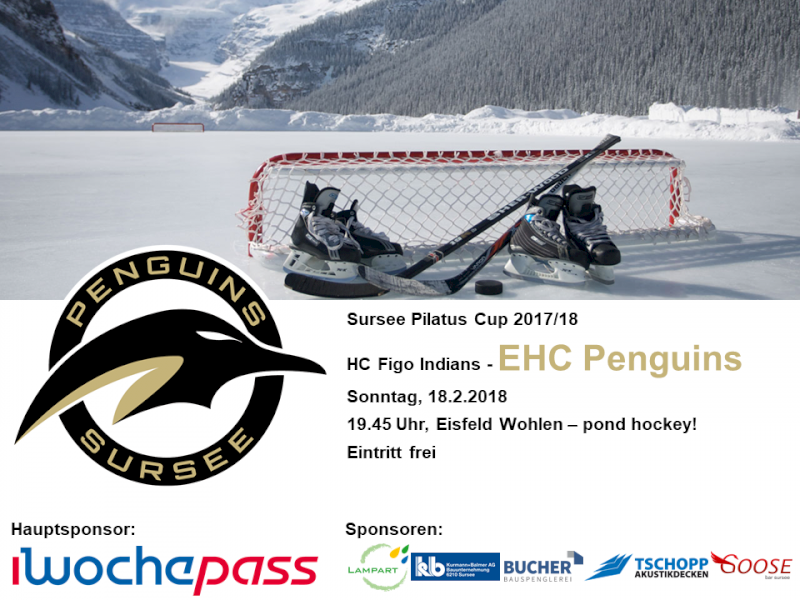 HC Figo Indians - EHC Penguins; 18.2.2018 19.45 Uhr, Eisfeld Wohlen – pond hockey!