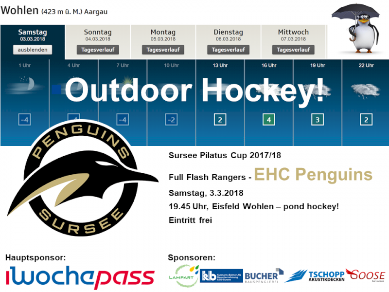 Full Flash Rangers - EHC Penguins; 3.3.2018 19.45 Uhr, Eisfeld Wohlen – another pond hockey!