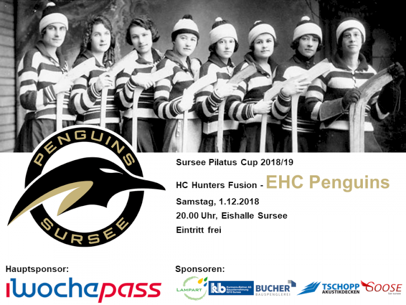 HC Hunters Fusion - EHC Penguins; 1.12.2018 20.00 Uhr, Eishalle Sursee