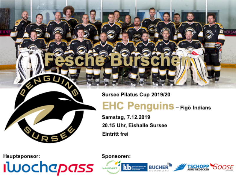 EHC Penguins - Figö Indians; 7.12.2019 20.15 Uhr, Eishalle Sursee