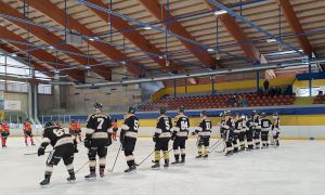Bild 1 von 4 - Escholzmatt - Penguins