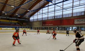 Bild 2 von 4 - Escholzmatt - Penguins