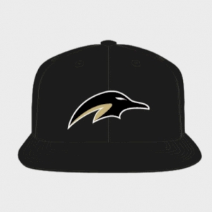 Snapback-Cap