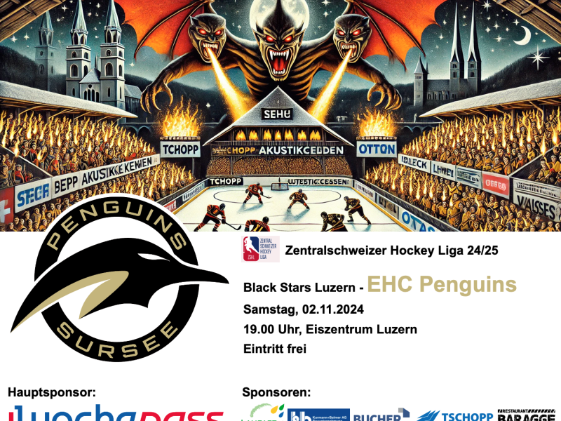 Black Stars Luzern - EHC Penguins, 02.11.2024, Eiszentrum Luzern